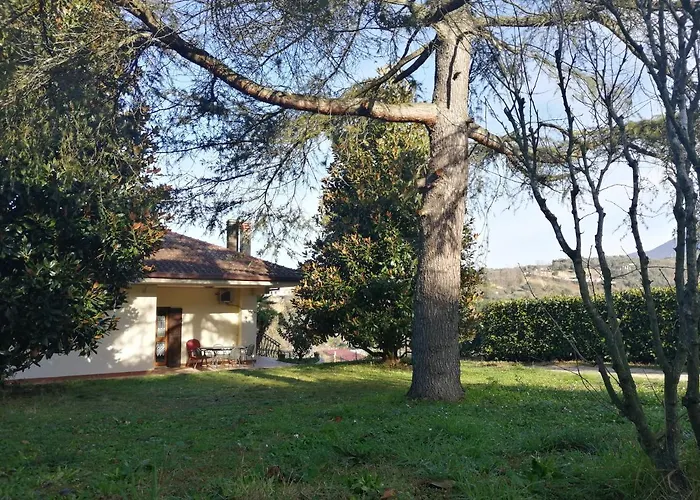 Kalispera * Guidonia